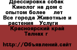 Дрессировка собак (Кинолог на дом с опытом более 10 лет) - Все города Животные и растения » Услуги   . Красноярский край,Талнах г.